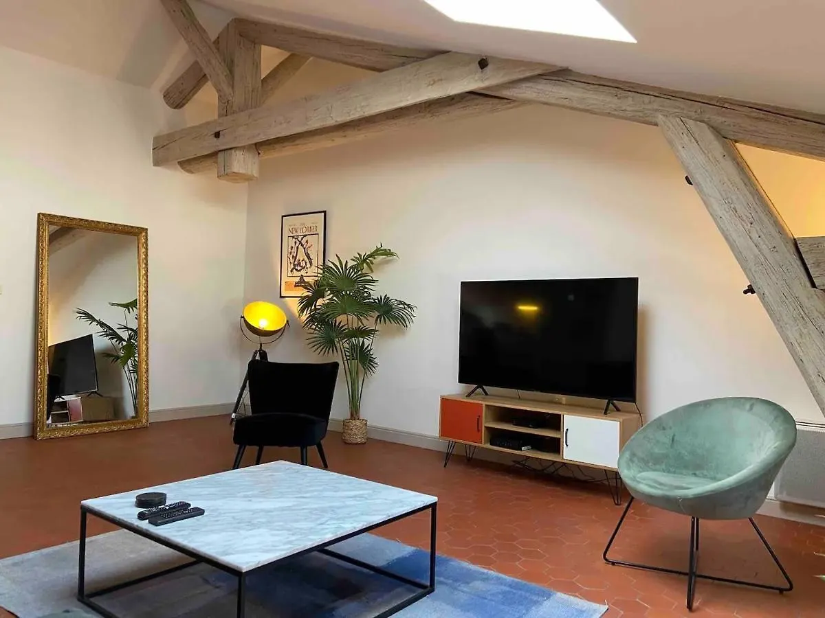 Appartement De Charme Au Coeur D'Avinyon Fransa