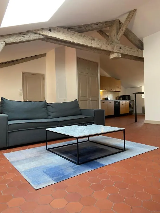 Appartement De Charme Au Coeur D'Avinyon Fransa